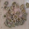 ergoterapia z uzyciem orzechow wloskich 020
